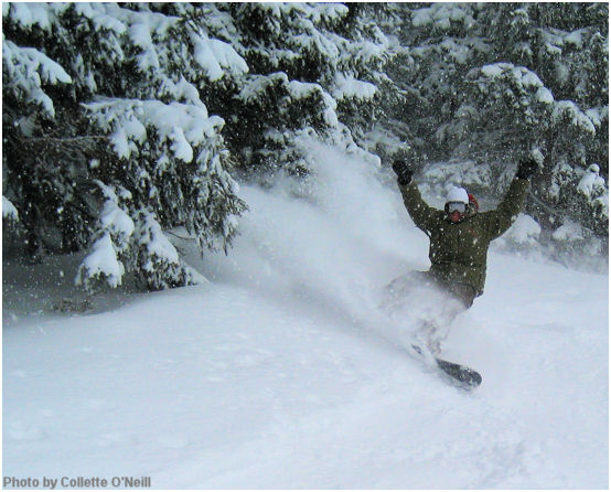 The Rossignol Twilight is fantastic in the trees