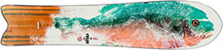 Rossignol Xv Sushi Lg Split
