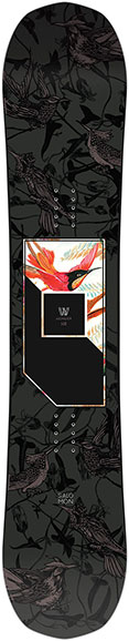 Salomon Wonder